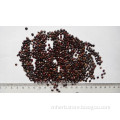 Japanese raisin tree seed,Hovenia acerba,dulcis,inaequalis,Chinese raisin,Oriental raisin,Honey tree,Kenponasi,Zhi ju zi,Guaizao